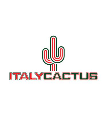 italy cactus