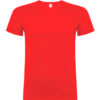 t-shirt beagle davanti