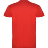 t-shirt beagle dietro
